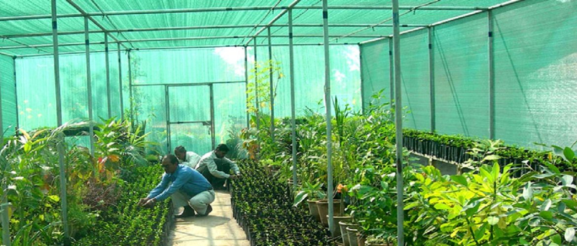 Nursery Shade Net Supplier